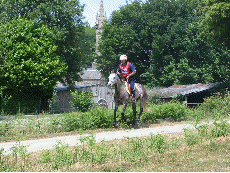 Animation Gif Falko II repartant du Vet gate