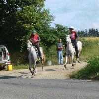 Animation Gif Diam's du moulin et Wn Kastle