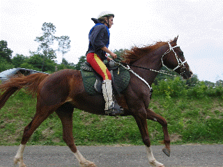 Farhoz de paute et C&eacute;line Schwartz au d&eacute;part de la derni&egrave;re boucle.(animation Gif, chargement en cours)