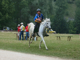 Piacenza repart en t&ecirc;te du dernier Vet Gate.(animation Gif chargement en cours)